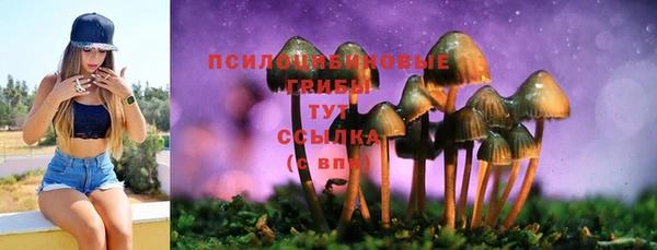 герыч Абинск