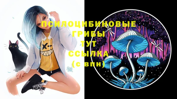 винт Нязепетровск
